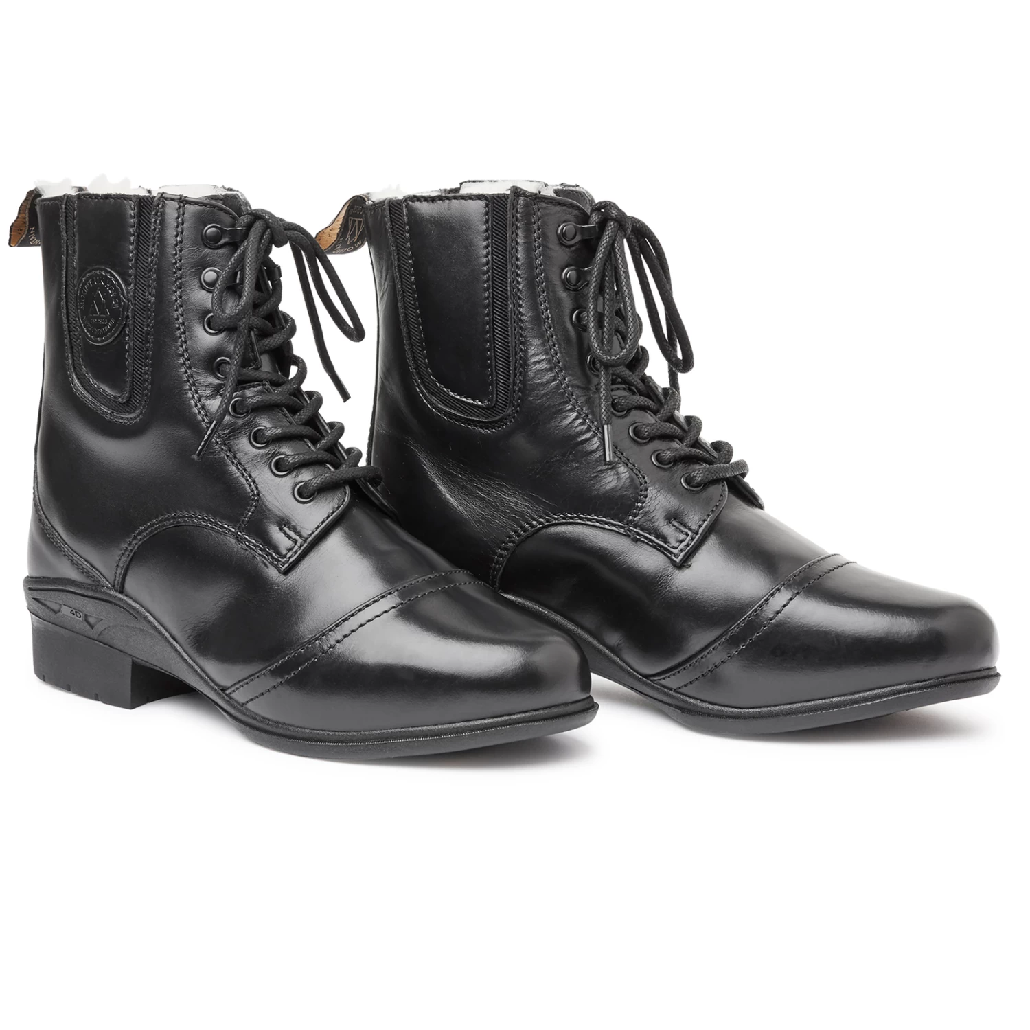 Mountain Horse Aurora Winter Paddock 1 Mountain Horse Aurora Winter Paddock