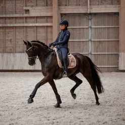 B Vertigo Milan Leather Thermo Riding Gloves -Equestrian Clothing Shop 31584 BL 7