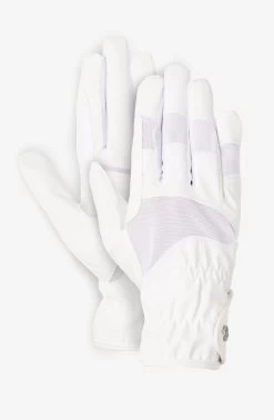 B Vertigo Flex Riding Gloves 36 B Vertigo Flex Riding Gloves -Equestrian Clothing Shop 31679 WH 1