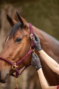 Horze Elenor Women's Mesh Riding Gloves -Equestrian Clothing Shop 31748 753 07