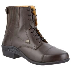 Suedwind Footwear Ultima BZ Lace -Equestrian Clothing Shop 323403 BR 1