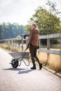 Horze Anne Women's Padded Riding Riding Vest 24 Horze Anne Women's Padded Riding Riding Vest -Equestrian Clothing Shop 33627 CFBR 8