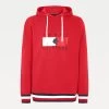 Tommy Hilfiger Equestrian Equestrian Statement Men's Hoodie