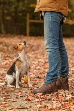 Muck Boot Originals Women's Ankle Boots 26 Muck Boot Originals Women's Ankle Boots -Equestrian Clothing Shop 341038 DRE 7