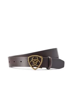 Ariat The Shield Belt 5 Ariat The Shield Belt -Equestrian Clothing Shop 345746 DBR 01