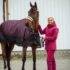 B Vertigo Dana Padded Thermo Breeches For Women -Equestrian Clothing Shop 36058 BTRE 6