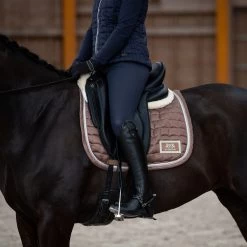 B Vertigo Tiffany Thermo Silicone Full Seat Breeches For Women 32 B Vertigo Tiffany Thermo Silicone Full Seat Breeches For Women -Equestrian Clothing Shop 36494 VDB 6