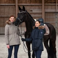 B Vertigo Tiffany Thermo Silicone Full Seat Breeches For Women 33 B Vertigo Tiffany Thermo Silicone Full Seat Breeches For Women -Equestrian Clothing Shop 36494 VDB 7