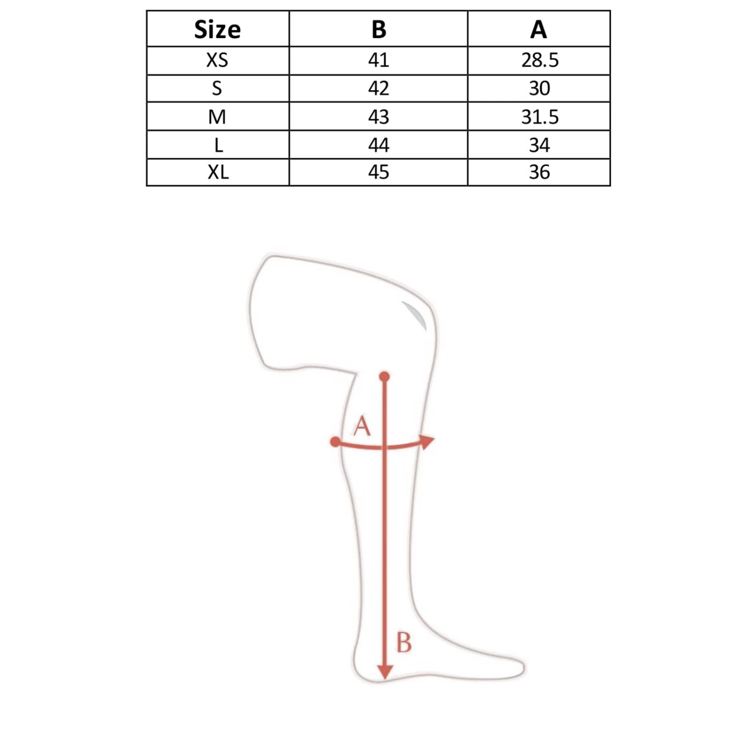 Horze Quinton Leather Half Chaps 13 Horze Quinton Leather Half Chaps - Image 13