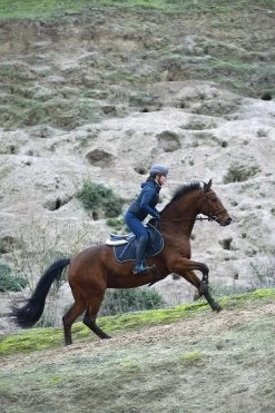 Uvex Elexxion Tocsen Riding Helmet 25 Uvex Elexxion Tocsen Riding Helmet -Equestrian Clothing Shop B6KVA 099 06