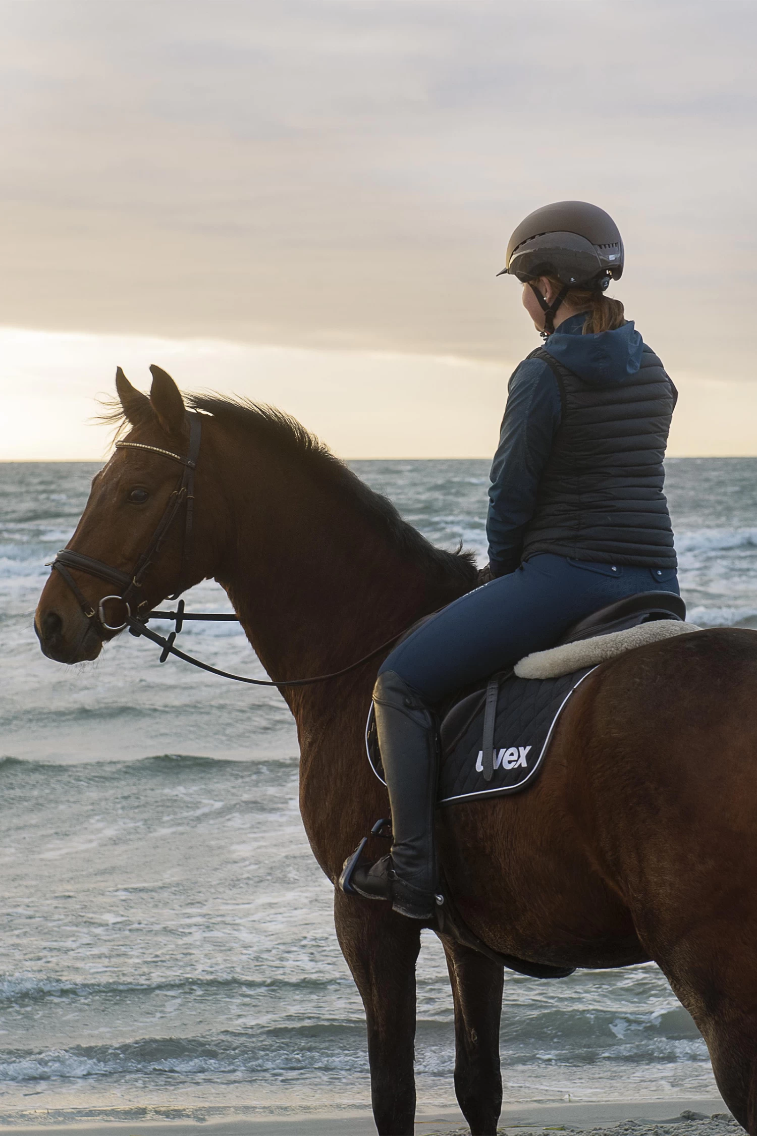 Uvex Elexxion Tocsen Riding Helmet 17 Uvex Elexxion Tocsen Riding Helmet - Image 17