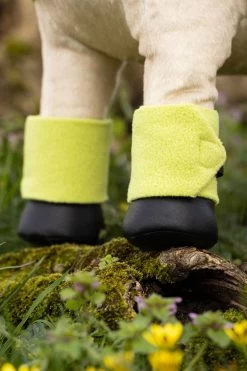 LeMieux Toy Pony Bandages (4 Pack) -Equestrian Clothing Shop N1BEH 620 02